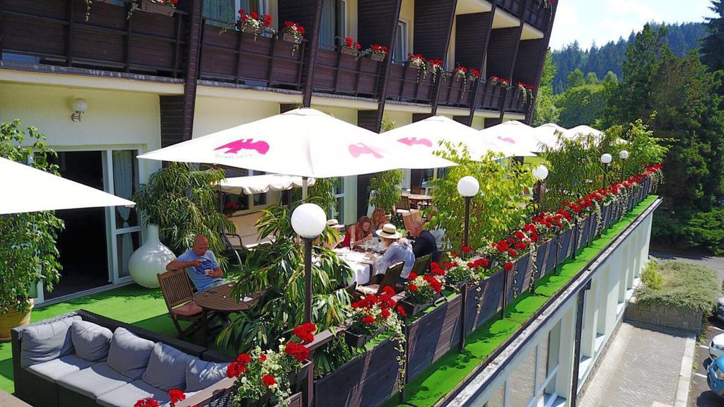 Wellness Hotel Green Paradise Brezova  ภายนอก รูปภาพ